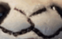 Furry Waifu Tier List 1